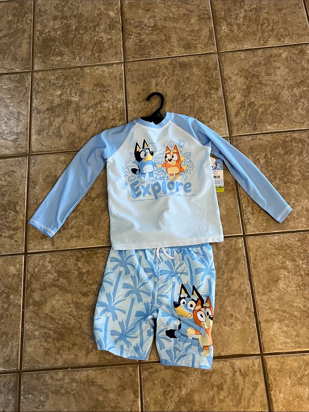 Bluey Light Blue Rash Guard Swim Set - Blue Size 5T